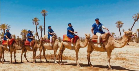 RIDE ON A CAMEL